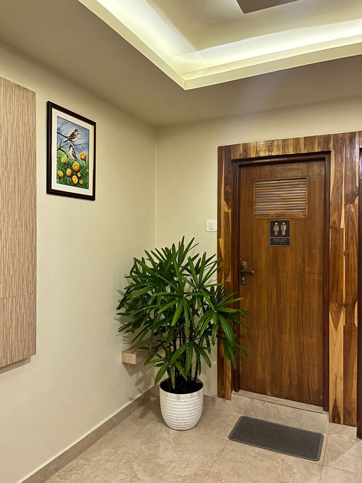 Our plant collection